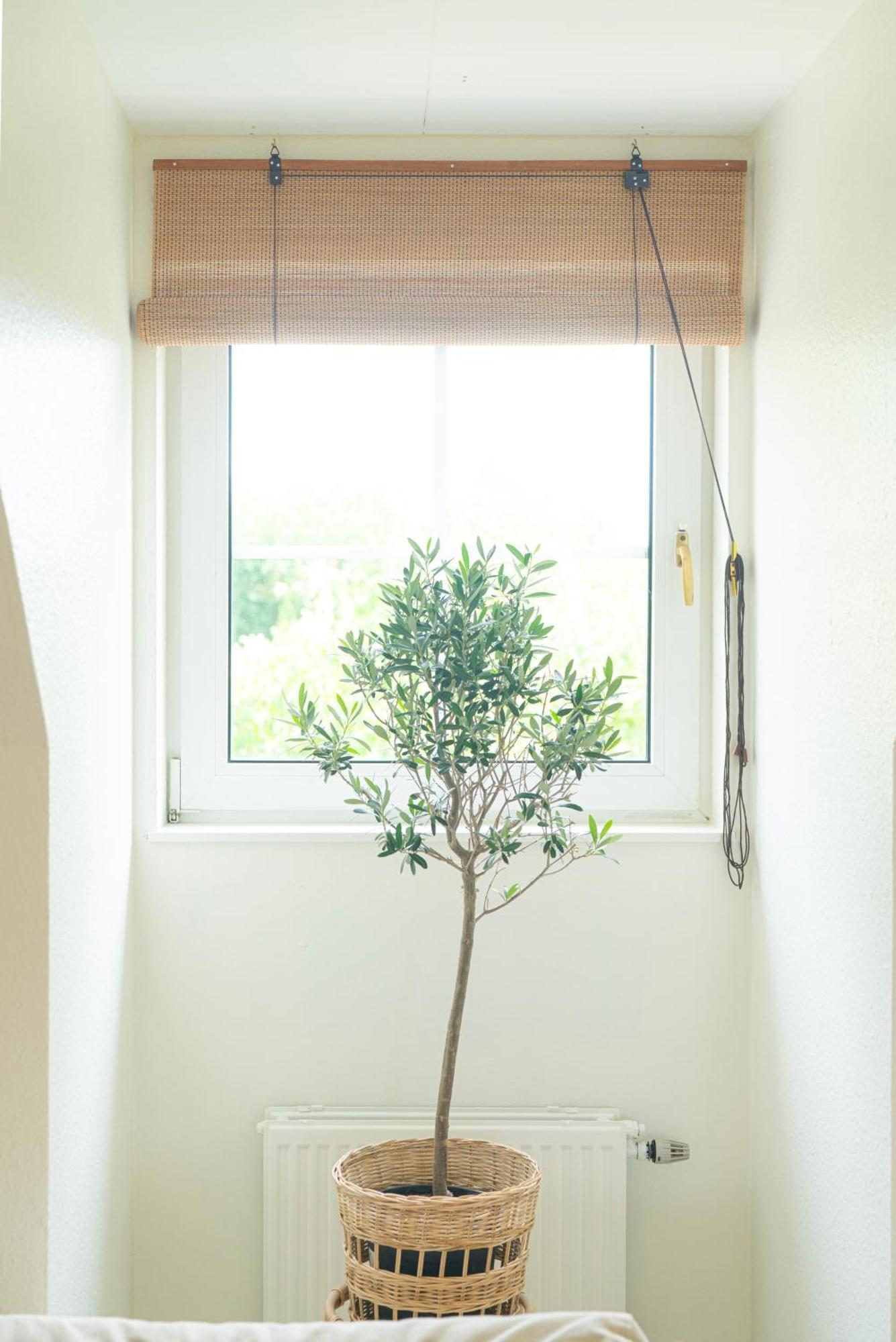 Falsterbo - Sea Breeze Apartment 馬爾默 外观 照片